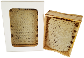 Лікувальні властивості та застосування стільникового меду.