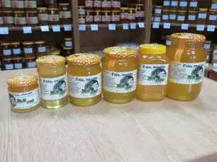 hlid-akatsiya