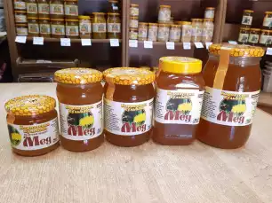 med-karpatska-kulbaba_