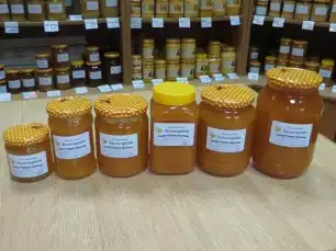 med-zolotarnyk