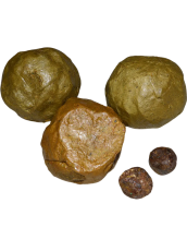 propolis-1g